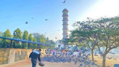 Kaithal News: हरियाणा में पक्षियों के लिए अनोखी पहल, करोड़ा गांव में बनावाया 7 मंजिला रैन बसेरा 4 Bird house kaithal