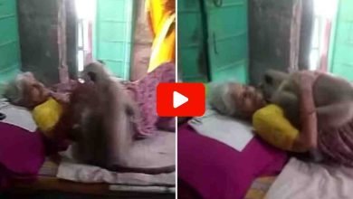 Viral Video 2