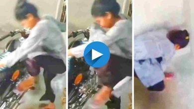 girl scooty funny video news