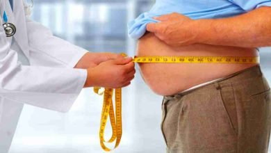 Weight Gain Foods