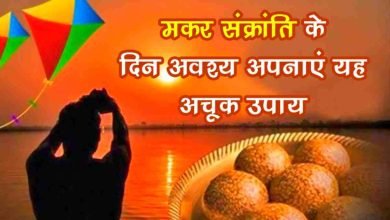 Makar Sankranti