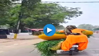Viral Video: सोशल मीडिया पर हरियाणवी ताई का वीडियो वायरल, घास की बोरिया लेकर बाइक पर खड़ी आई नजर 8 viral video