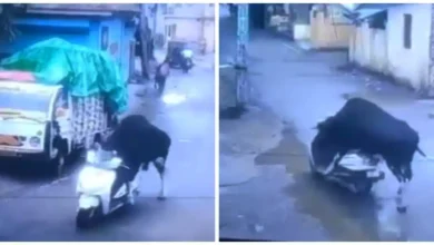 Viral video