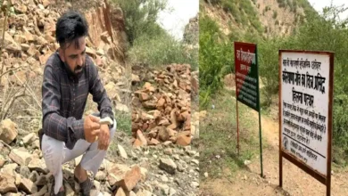 CHARKHI DADRI HILNA STONES